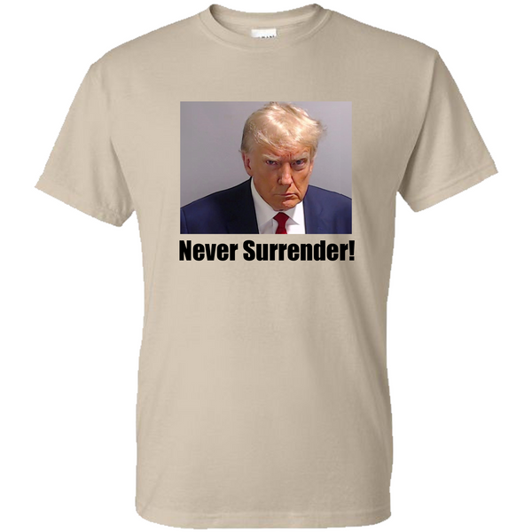 Donald Trump Mugshot Shirt, Trump Mugshot T Shirt, Trump 2024 Tee Shirt
